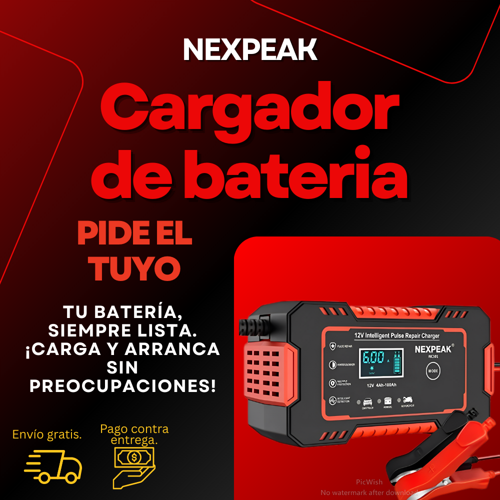 Cargador Batería Carro - Moto